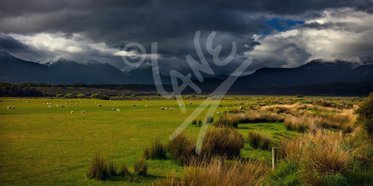 NEW ZEALAND Te Anau, Milford Road